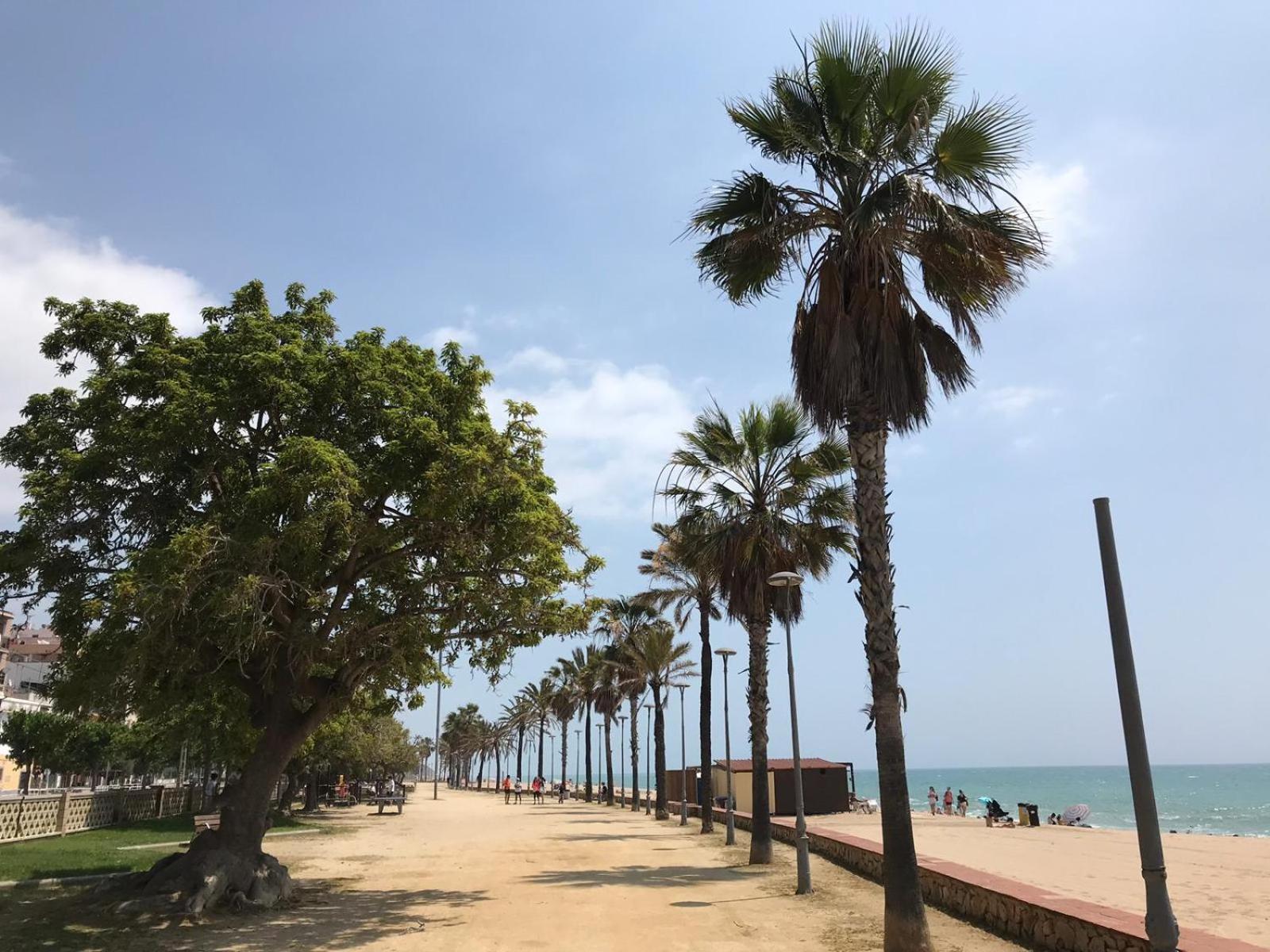 Apartamento Frente Al Mar Canet De Mar Eksteriør bilde